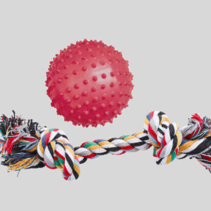 hundespielzeug bubblenavibanner